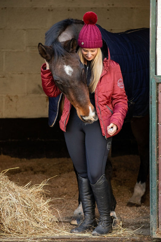 Winter Feeding Guide: Nutrition Tips for Stabled Horses in Light Work - Halt Equestrian