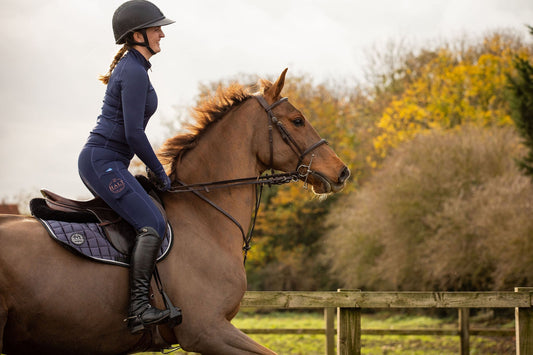 Winter Workout: Keeping Your Horse Active for Leisure Riding - Halt Equestrian