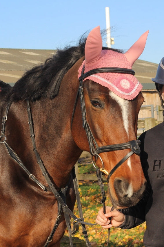 Deluxe Pink saddle pad with diamond Trim