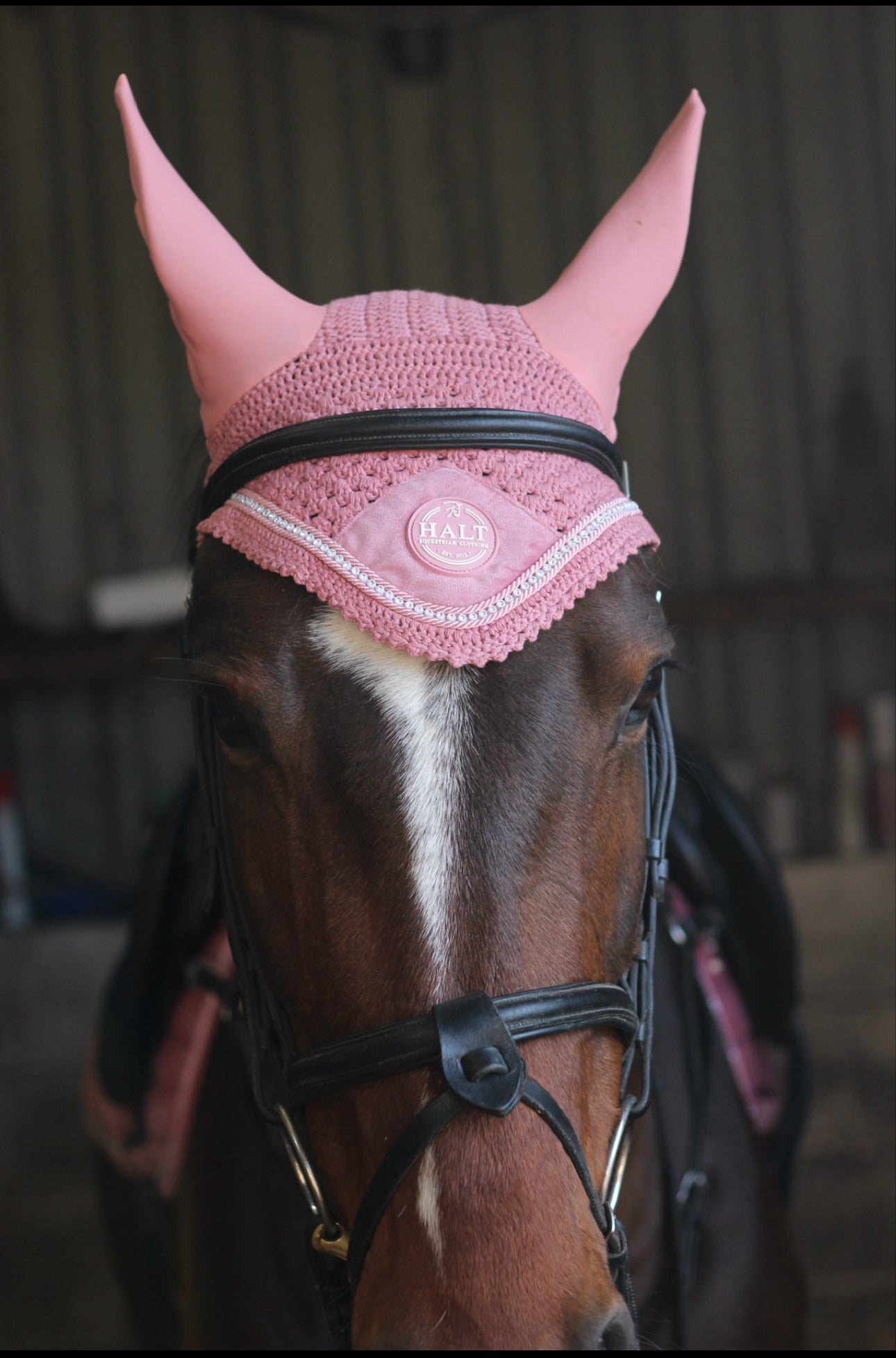 Pink Ear Bonnet
