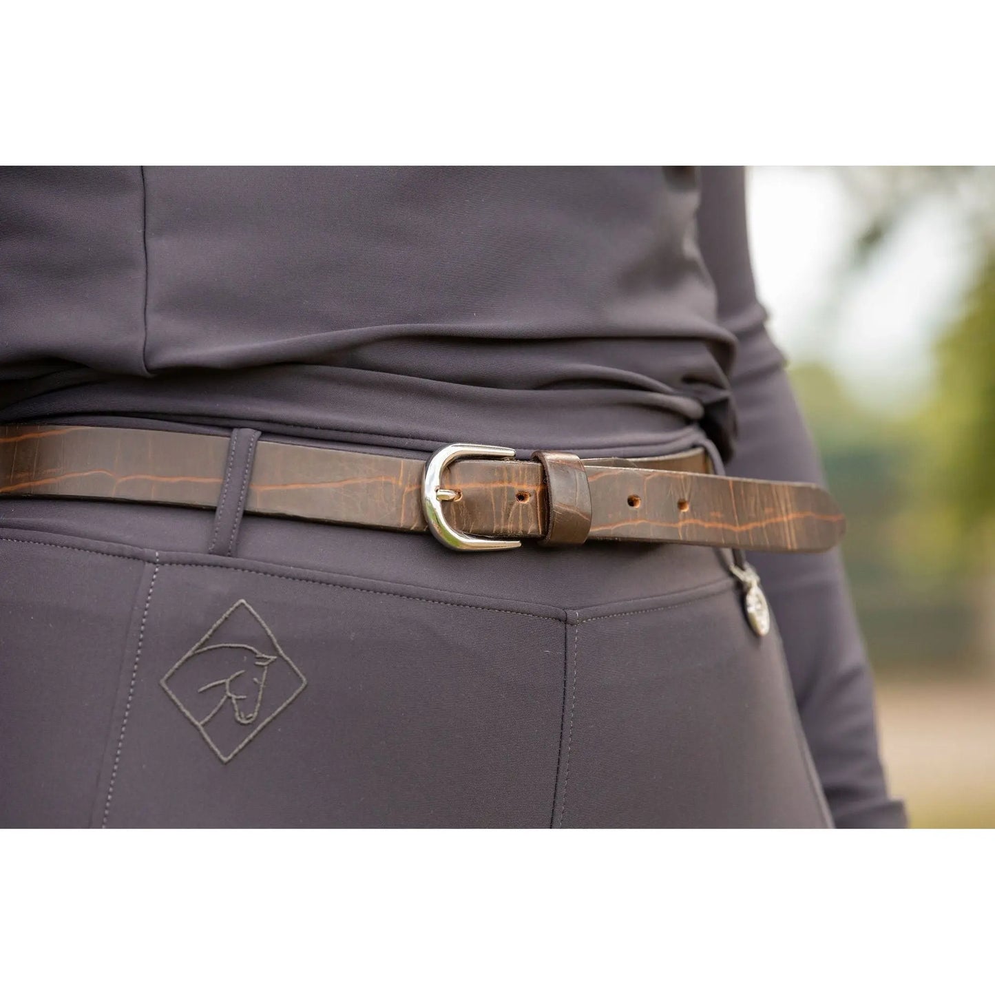 Brown Belts - Halt Equestrian