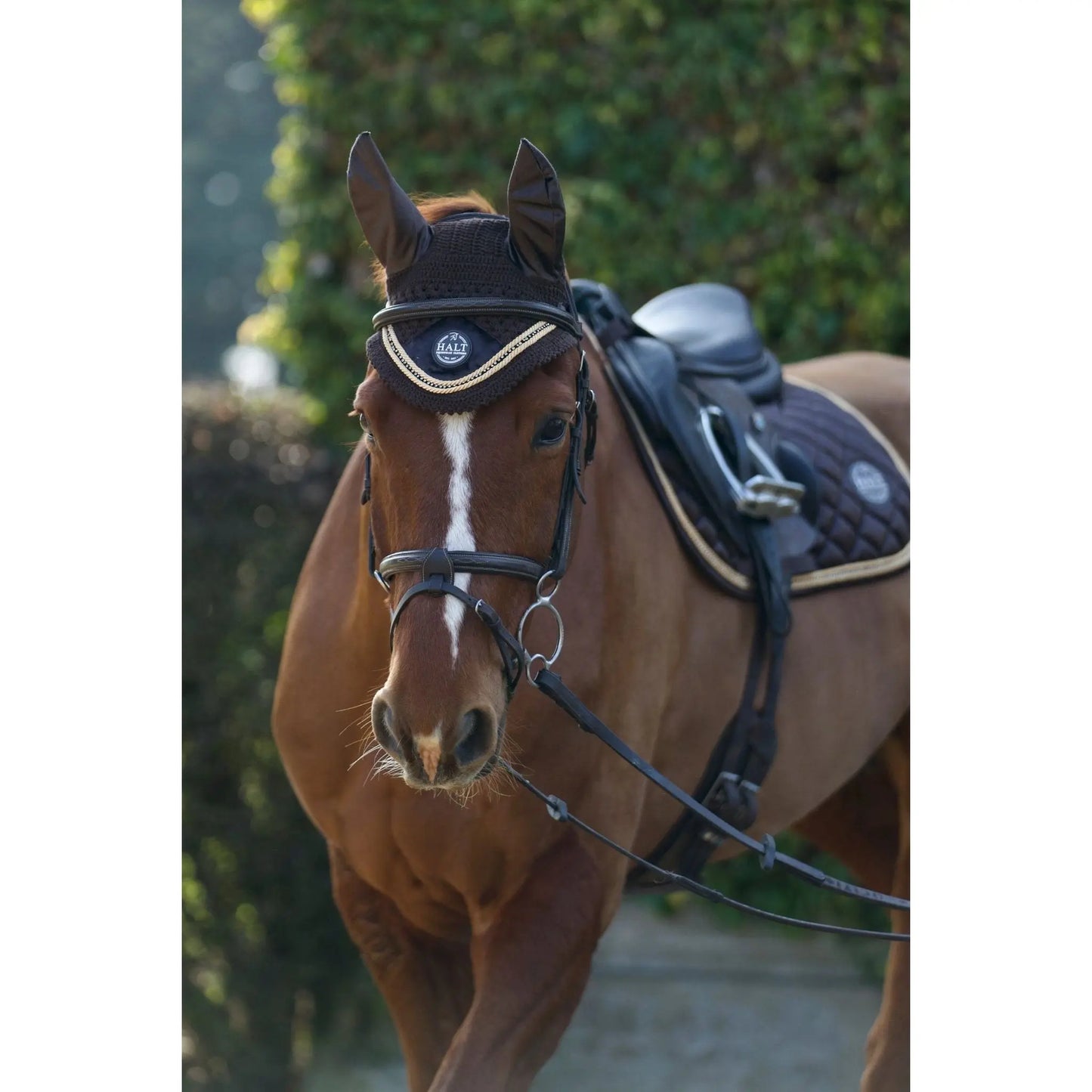 Chocolate Suede Fly Veil - Halt Equestrian