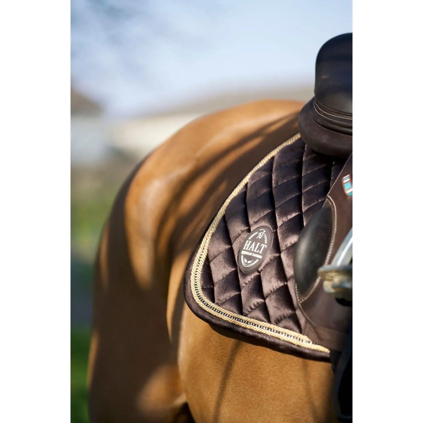 Chocolate Suede Saddle Pad - Halt Equestrian