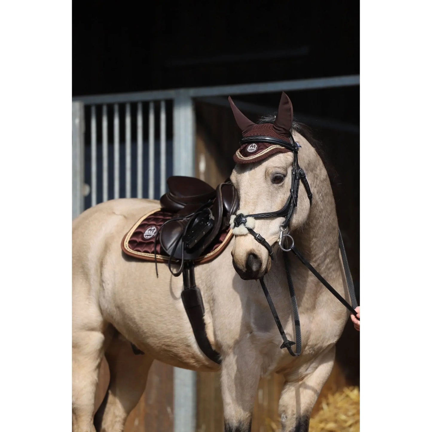 Limited Edition Chocolate saddle pad - Halt Equestrian