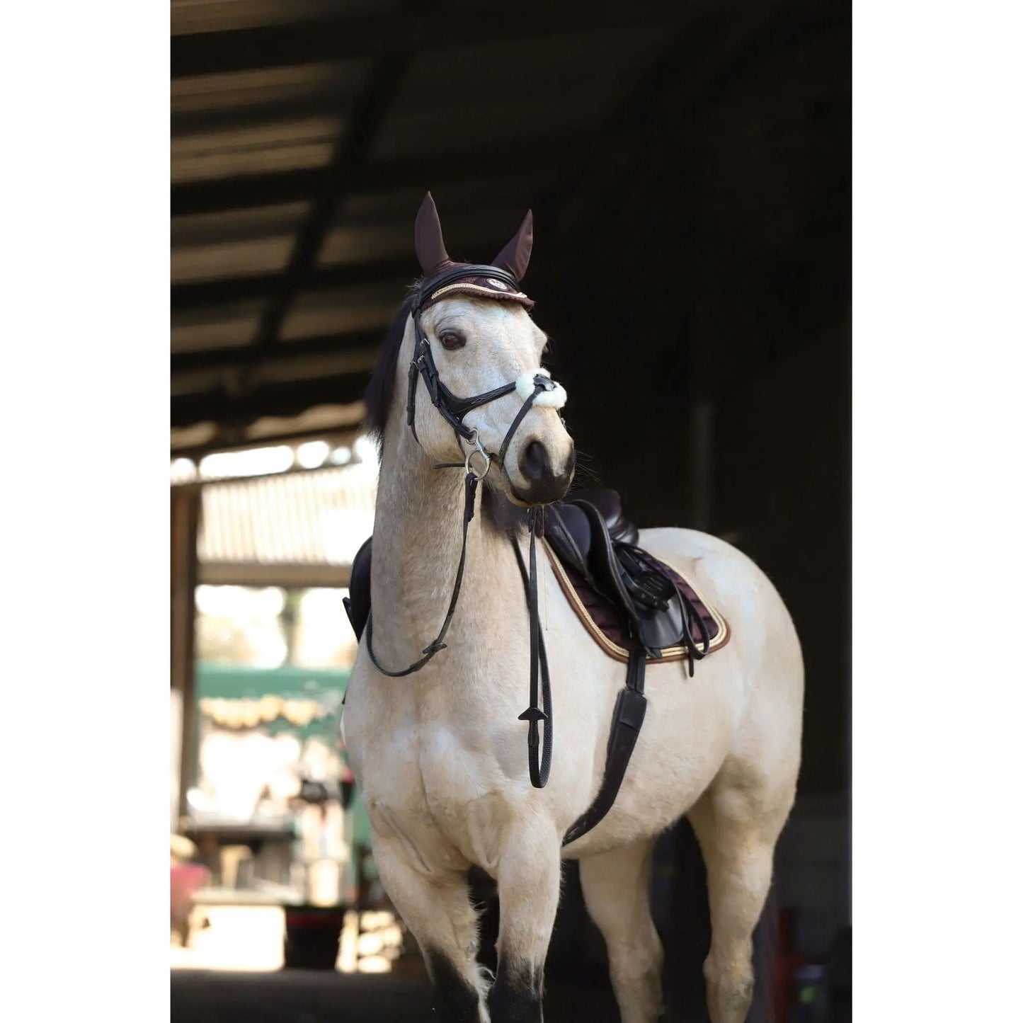 Limited Edition Chocolate saddle pad - Halt Equestrian