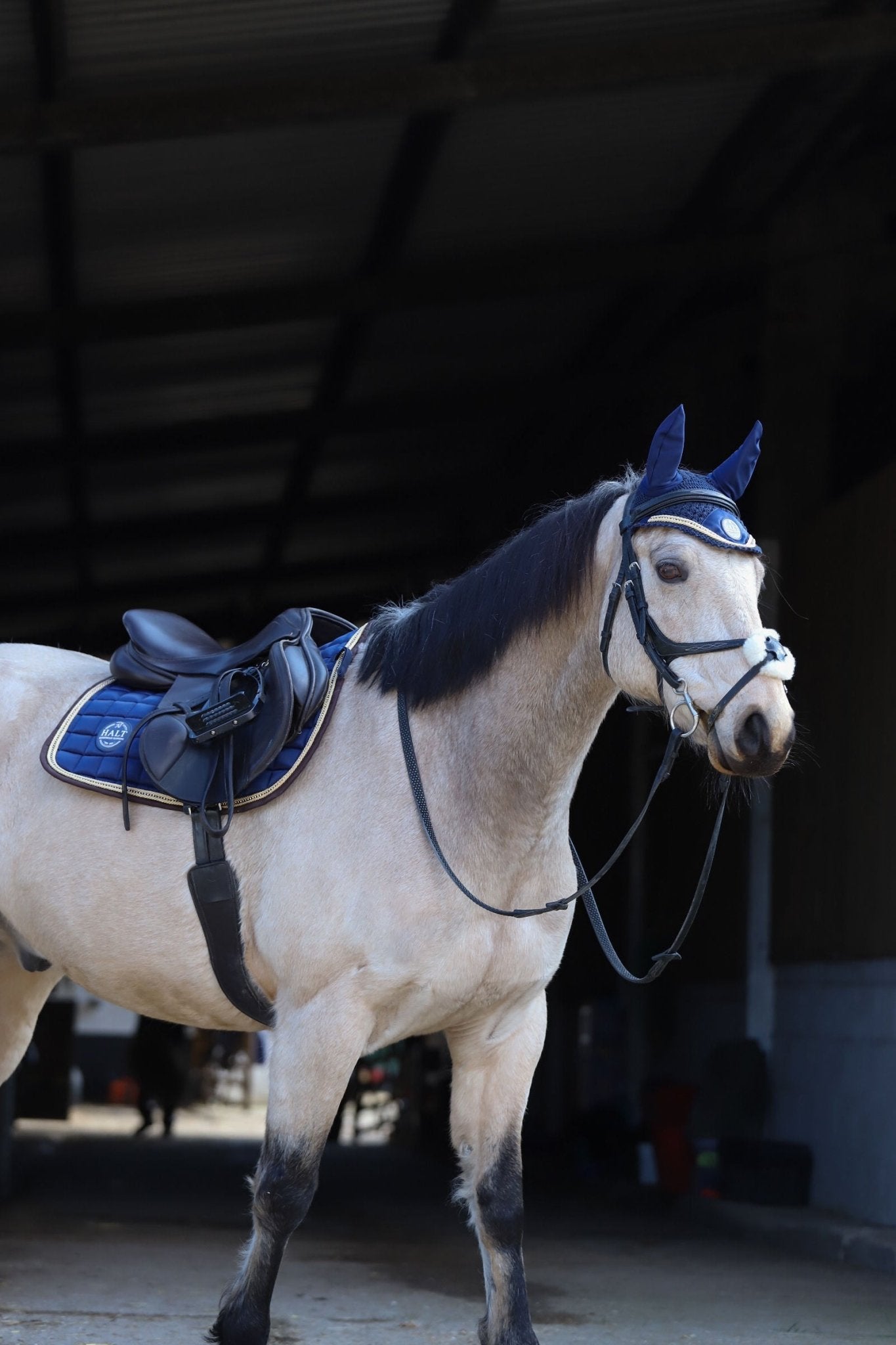 Limited Edition Navy saddle pad - Halt Equestrian
