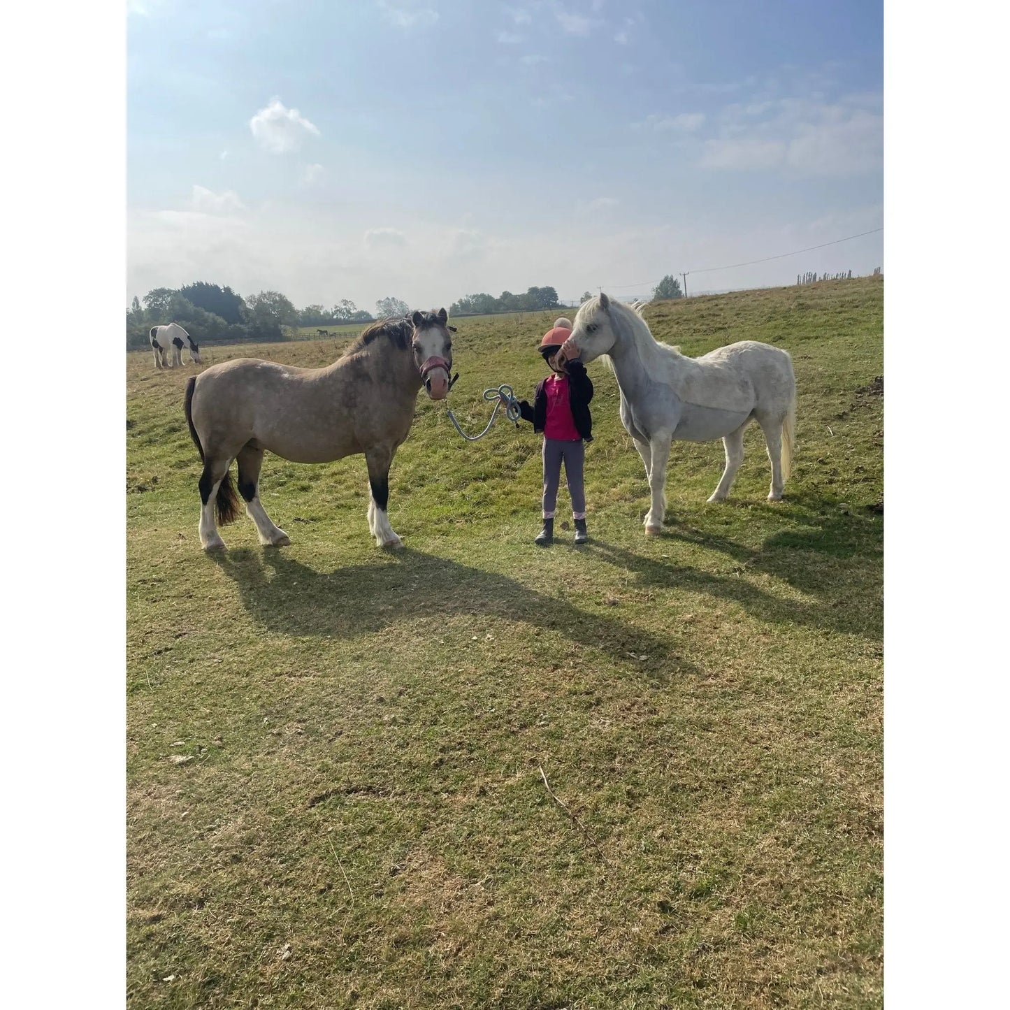 Snowy Christmas mug and coaster set - Halt Equestrian