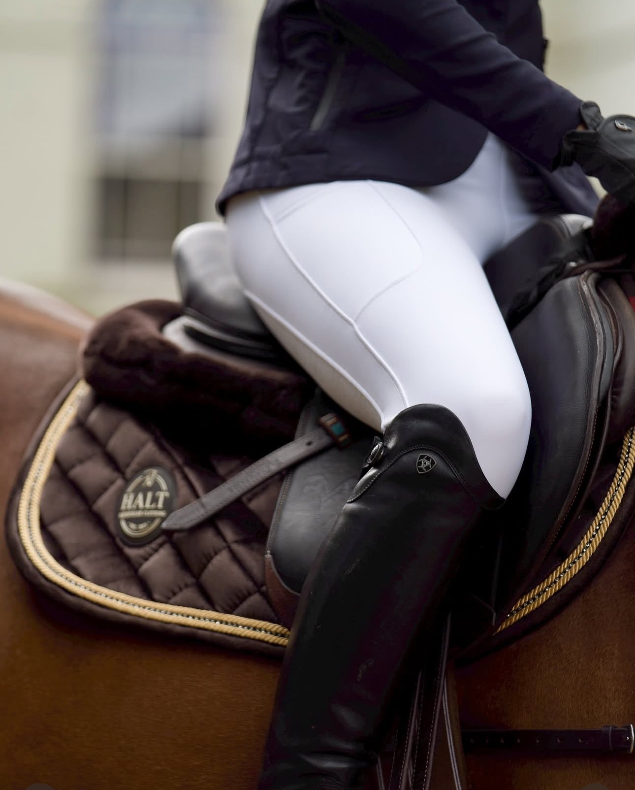 White Riding Leggings - Halt Equestrian