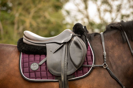 Amethyst saddle pad - Halt Equestrian