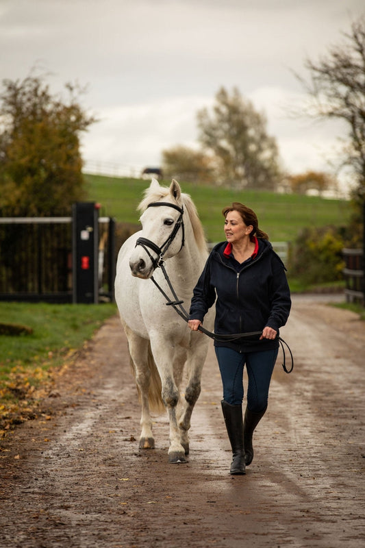 Top Winter Tips for Equestrians: Stay Warm and Safe This Season - Halt Equestrian