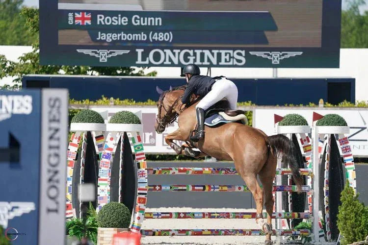 Competition Equestrian Clothing Collection - Halt Equestrian