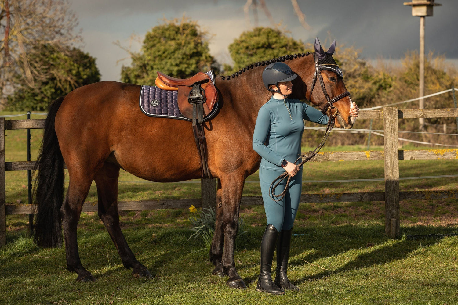 Saddle pads and fly veils