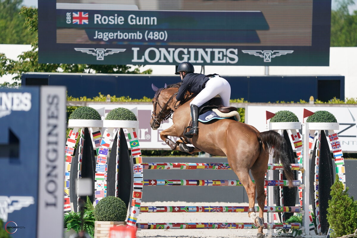 Horse and rider competing in HALT equestrian clothing