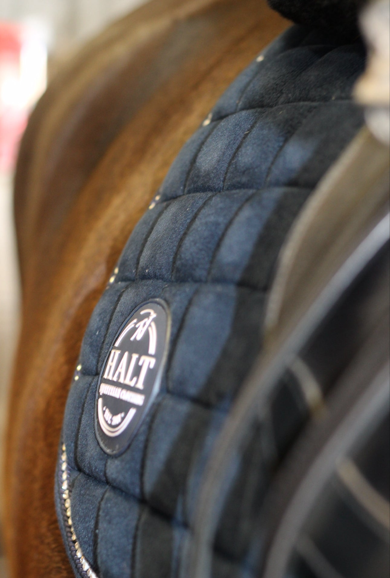 Deluxe Navy saddle pad with diamond Trim