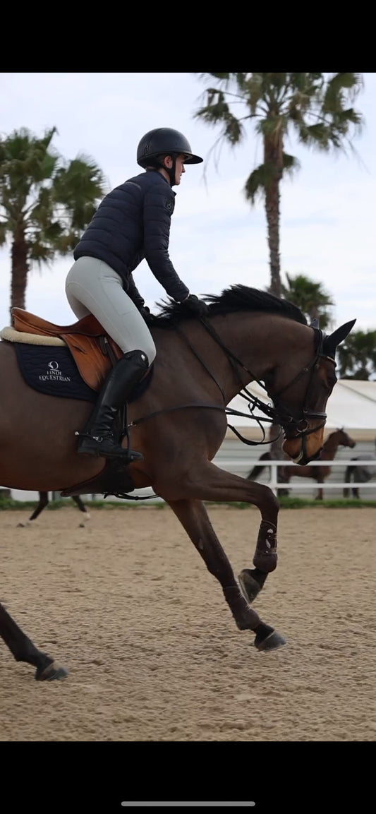 The Stayproof Riding Tights - Full Seat Silicone - Droplet Grey