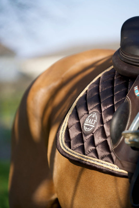Chocolate Suede Saddle Pad - Halt Equestrian