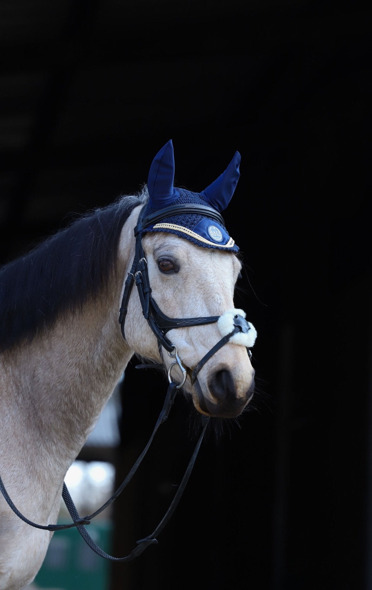 Limited Edition Navy Ear Bonnet - Halt Equestrian
