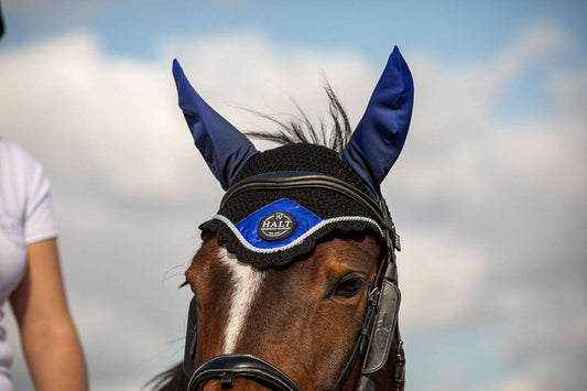 Sapphire blue Fly veil - Halt Equestrian